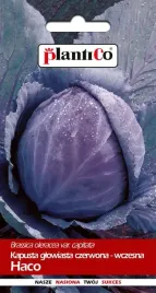 kapusta-glowiasta-czerwona-haco-1-g-plantico