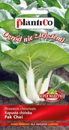 kapusta-chinska-pak-choi-01-g-plantico