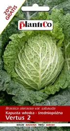 kapusta-glowiasta-wloska-vertus-2-24-g-plantico