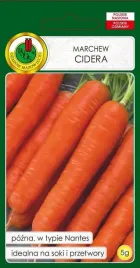 marchew-jadalna-cidera-5-g-pnos