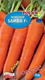 marchew-jadalna-samba-f1-5-g-polan