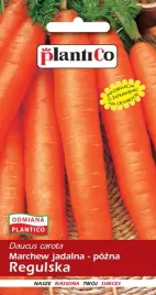 marchew-jadalna-regulska-5-g-plantico