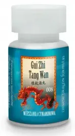 t008-gui-zhi-tang-wan-ziola-chinskie-przeziebienie-mieszanka-cynamonowa