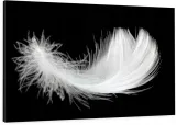 elegancki-obraz-na-plotnie-120x80-biale-piorko