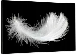 elegancki-obraz-na-plotnie-120x80-biale-piorko