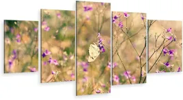 tryptyk-5-czesci-na-sciane-natura-motyl-980-wzorow