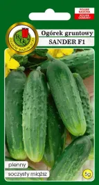 ogorek-gruntowy-sander-f1-5-g-pnos