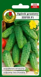 ogorek-gruntowy-zefir-f1-5-g-pnos
