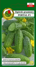ogorek-gruntowy-portal-f1-5-g-pnos
