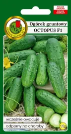 ogorek-gruntowy-octopus-f1-1-5-g-pnos