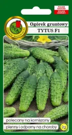 ogorek-gruntowy-tytus-2-g-pnos