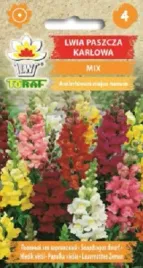lwia-paszcza-karlowa-mix-nasiona-05-g