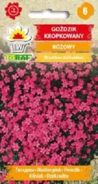 gozdzik-kropkowany-rozowy-nasiona-03-g