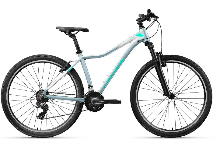 rower-cyclision-corpha-6-29-r17-m-da-2023-mint-gra-stan-nowy