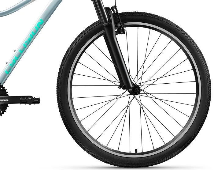 rower-cyclision-corpha-6-29-r17-m-da-2023-mint-gra-stan-nowy