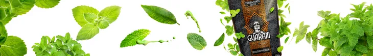 guarani-boldo-menta-50-g