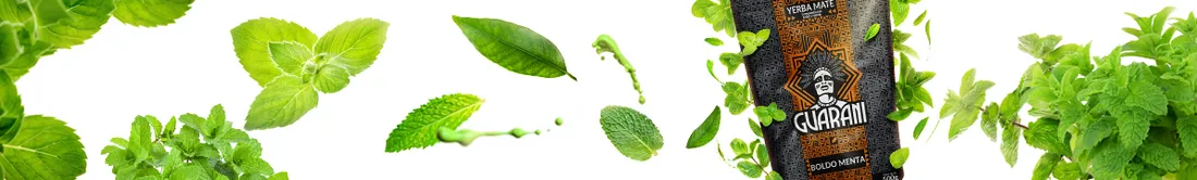 guarani-boldo-menta-50-g