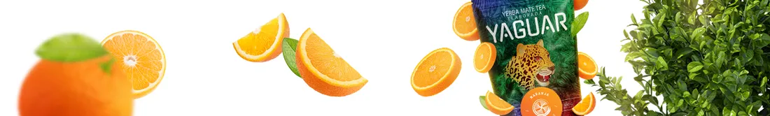 yaguar-naranja-05-kg
