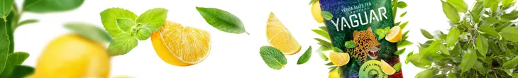 yaguar-menta-limon-50-g