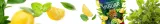 yaguar-menta-limon-50-g