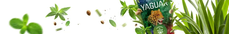 yaguar-cannabis-05-kg