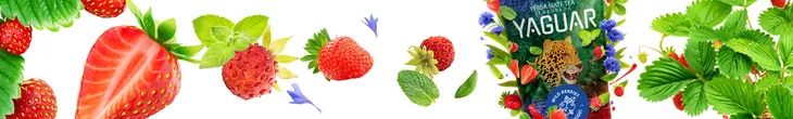yaguar-wild-berries-05-kg