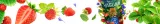 yaguar-wild-berries-05-kg