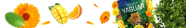 yaguar-mango-tango-05-kg