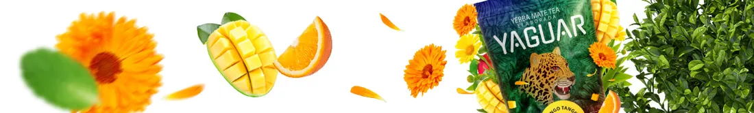 yaguar-mango-tango-05-kg