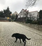 Zdjęcie produktu od kupującego