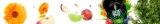 verde-mate-green-verano-50-g