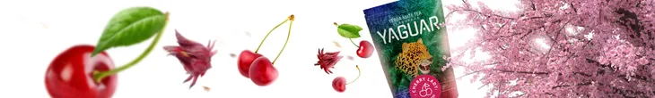 yaguar-cherry-lady-05-kg