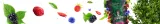 guarani-forest-berries-05-kg