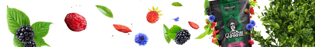 guarani-forest-berries-05-kg