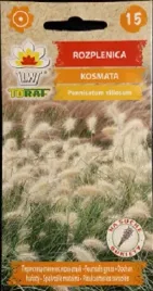 rozplenica-kosmata-12-szt-nasion-na-suche-bukiety