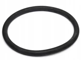 o-ring-na-wieko-corny-cornelius-pepsi-keg