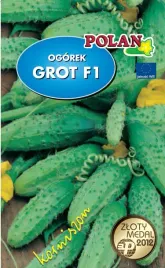 ogorek-gruntowy-grot-f1-3-g-polan