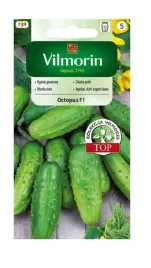 ogorek-gruntowy-octopus-f1-15-g-vilmorin