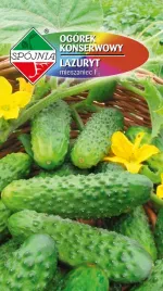ogorek-pod-oslony-f1-lazuryt-2-g-spojnia