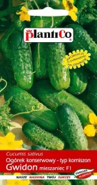 ogorek-gruntowy-f1-gwidon-5-g-plantico
