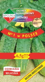 ogorek-gruntowy-sremski-f1-6-5-g-spojnia