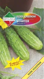 ogorek-gruntowy-f1-starter-5-g-spojnia