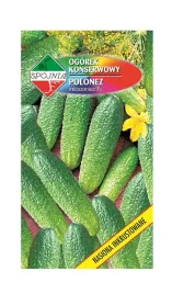 ogorek-gruntowy-polonez-f1-5-g-spojnia