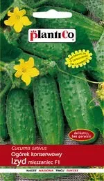 ogorek-gruntowy-izyd-f1-5-g-plantico