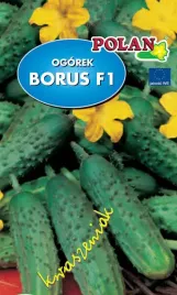 ogorek-gruntowy-borus-f1-5-g-polan