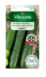 ogorek-szklarniowy-saladin-f1-08-g-vilmorin