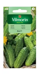 ogorek-gruntowy-ares-f1-3-g-vilmorin
