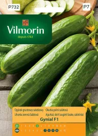 ogorek-gynial-f1-2-g-vilmorin-gruntowy-salatkowy