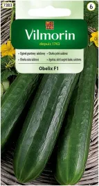 ogorek-obelix-f1-3-g-vilmorin-gruntowy-salatkowy
