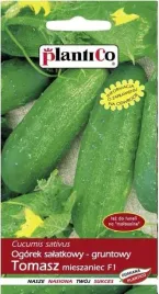 ogorek-gruntowy-tomasz-f1-5-g-plantico